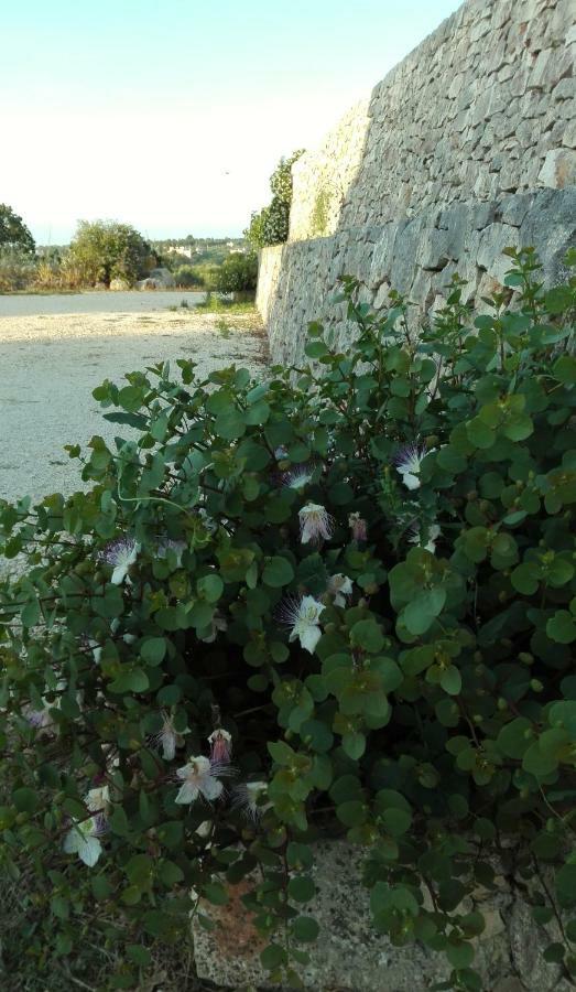 Il Trulletto Del Sognatore Monopoli Dış mekan fotoğraf
